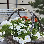 Parkblick Im Badehaus Апартаменты *