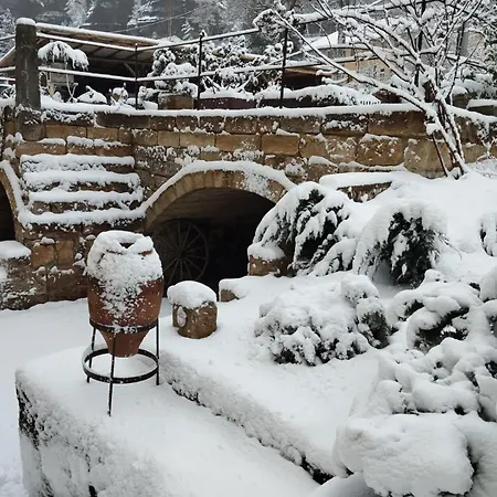 דירה Parkblick Im Badehaus