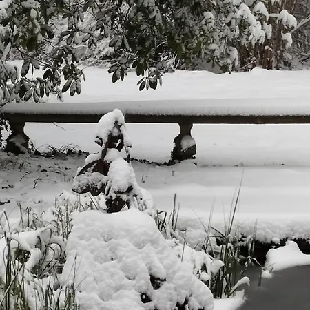 Parkblick Im Badehaus Apartamento