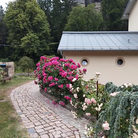 Parkblick Im Badehaus Appartement *
